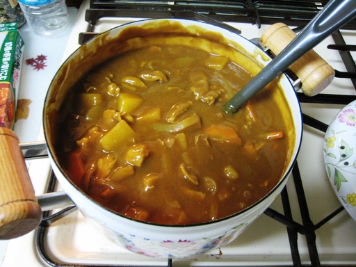 鶏皮カレー　その５