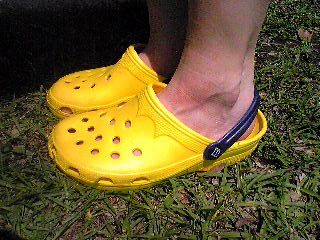 Image2381.jpg