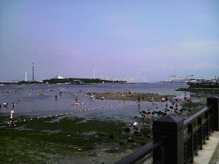 海の公園から見た八景島