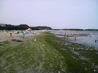 夏の海の公園