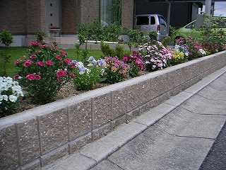 花　5月5日