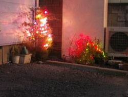 イルミネーション１