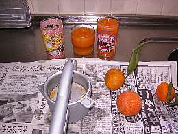 みかんジュース作り