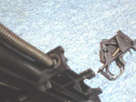 CA3A0495.jpg