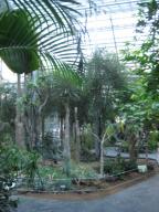 食と農の博物館 (4).jpg