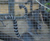 食と農の博物館 (8).jpg