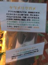 食と農の博物館 (10).jpg