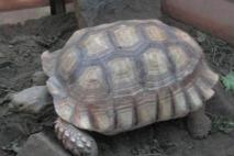 食と農の博物館 (13).jpg