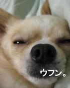 セクシーポーズ　ウフッ (1).jpg