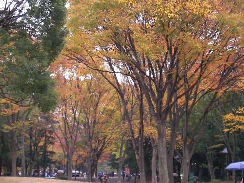 ueno01.jpg