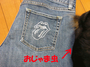 070906jeans.gif