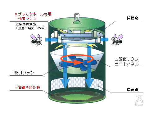 ブラックホール2