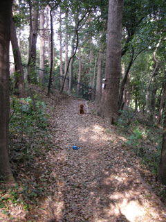 四季の森公園_マテ04