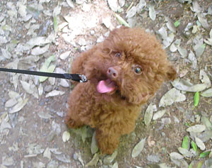 四季の森公園_マテ01