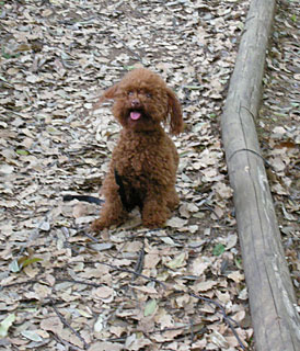 四季の森公園_マテ02