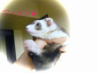 ２０１０年６月　お願いポーズのメイ