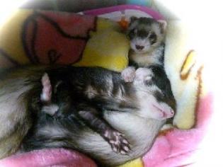 たまにはいいよね♪