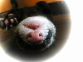 特技はどこででも寝られること