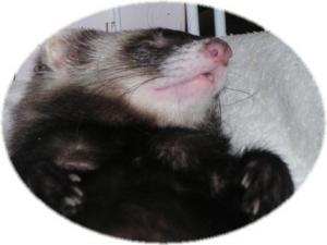 生後4カ月　バブ～の頃