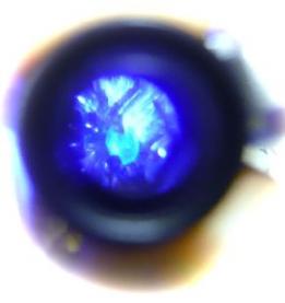 ブラックライトｖｓダイヤモンド