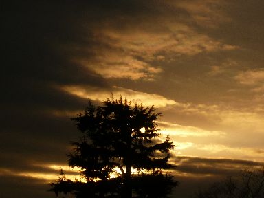 2011年1月1日16時31分