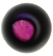 ブラックライトｖsルビー