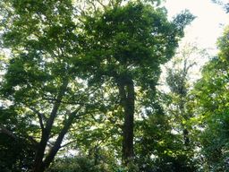 心霊スポット？