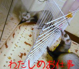 2010/0４　チョコとメイ