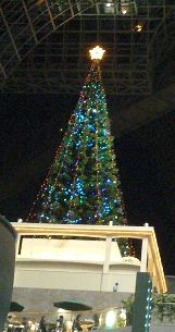 京都駅構内のツリー