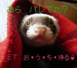 ＥＴみたいなチョコ