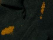 染色家チョコまりん？