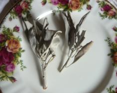 浄化用グッズホワイトセージ