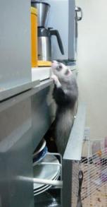 2010/０３　メイ