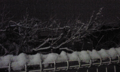 岐阜大雪.jpg