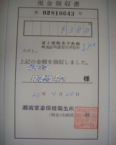 DSC06241_R.JPG