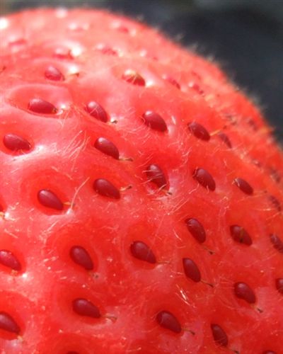 DSCF2369_R.jpg