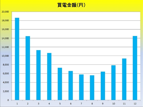 月別買電金額_R.jpg