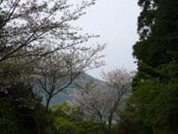 2010.4.3.jpg (1).jpg-a.jpg