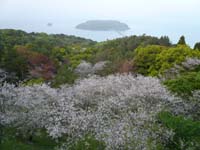 2010.4.3.jpg (12).jpg-a.jpg