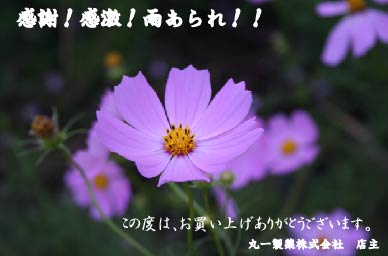 コスモス