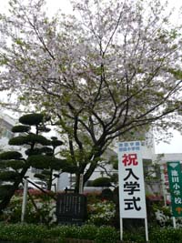 2010.3.8 038.jpg-a.jpg