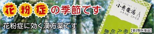 banner_syouseiryutou.jpg-500.jpg