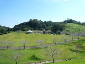 2011.10 (48).JPG