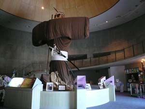 2011.10 (33).JPG