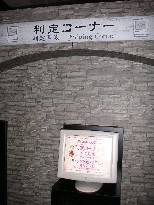 P9.JPG