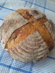 101020いちじくカンパ