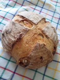 101014いちじくカンパ