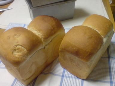 ５／１５イースト食パン１