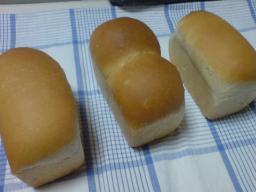 ５／１５白神こだまミニ食