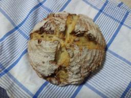 101007カボチャカンパ